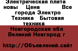 Электрическая плита,  новы  › Цена ­ 4 000 - Все города Электро-Техника » Бытовая техника   . Новгородская обл.,Великий Новгород г.